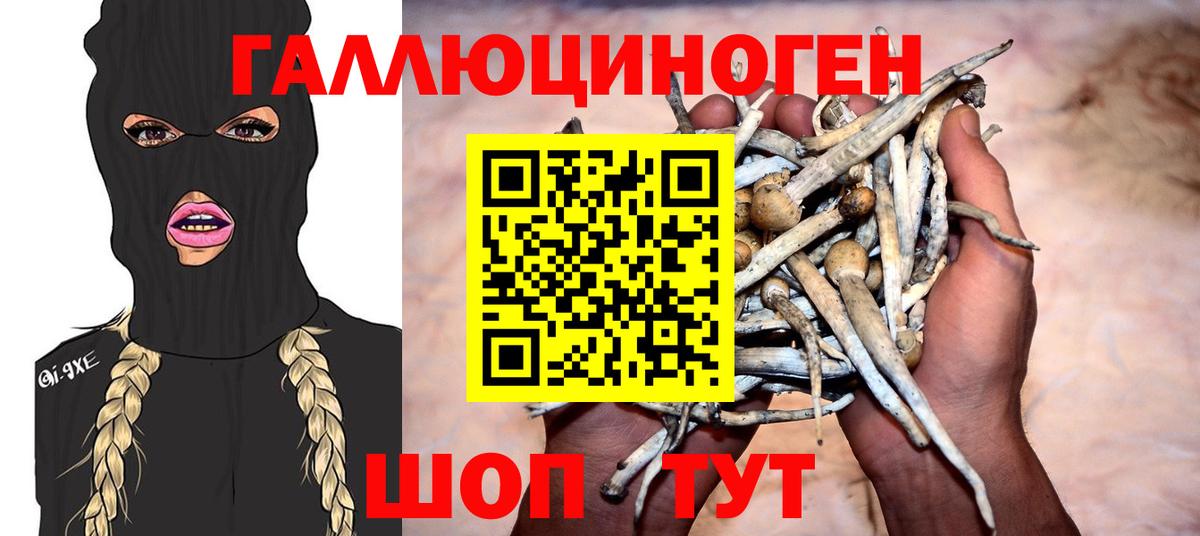 Галлюциногенные грибы Psilocybe  Вход с VPN  Кувандык  Галлюциногенные грибы MAGIC MUSHROOMS 